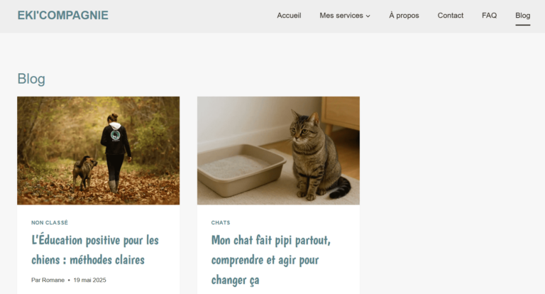 Blog Eki Compagnie