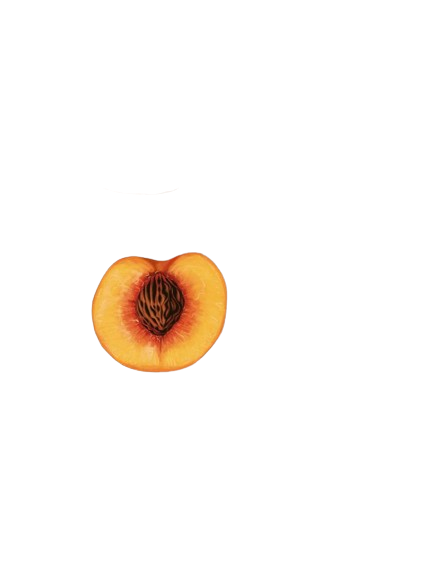 pêche coupée