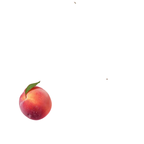 la pêche du web