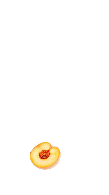 la peche du web