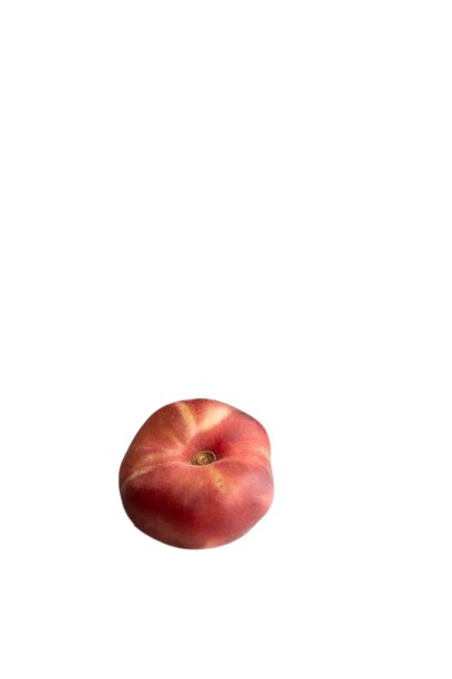 la peche du web