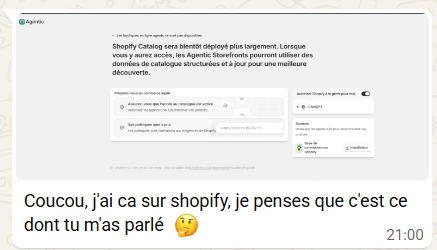boutique ia optimisation du site
